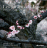 Les jardins du Japon
