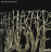 The Decemberists