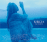 Kokia