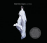 Jun Miyake Toulon