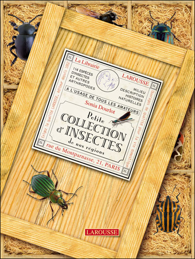 Couverture de Petite collection d'insectes de nos régions : 114 espèces d'insectes et autres arthropodes