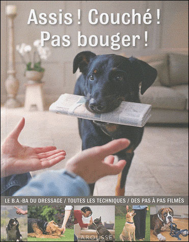 Eduquer son chien pour les nuls ! 9782035838865