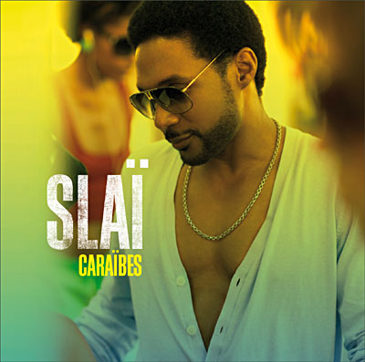 http://multimedia.fnac.com/multimedia/images_produits/ZoomPE/9/2/5/0886973140529.jpg