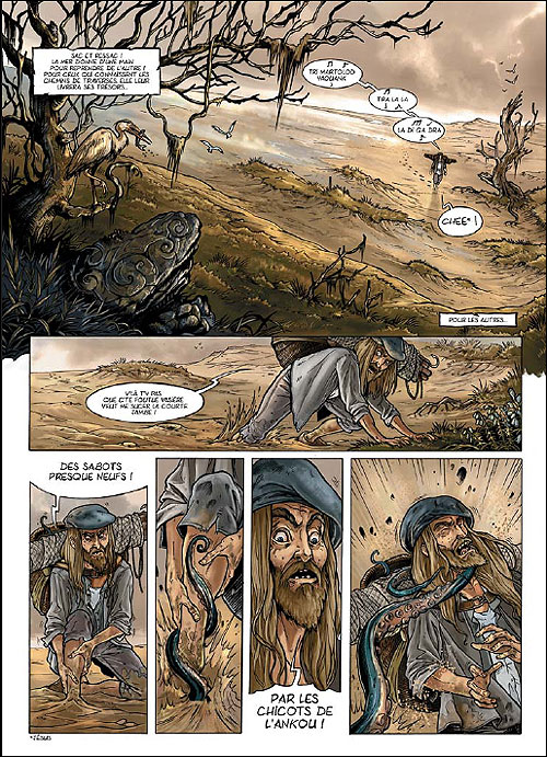Souvenirs d'un elficologue - Souvenirs d'un elficologue, T1