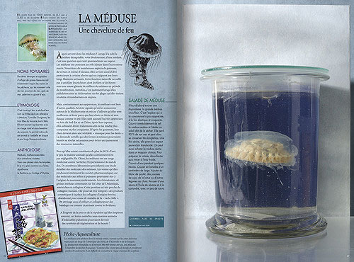 Le bestiaire maritime
