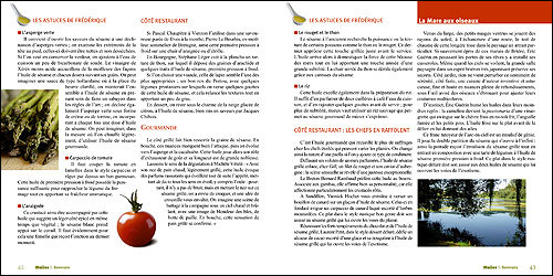 Huiles et saveurs