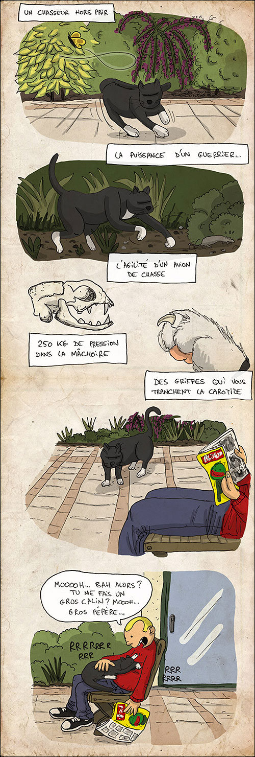 Mon chat et moi - Mon chat et moi, T1