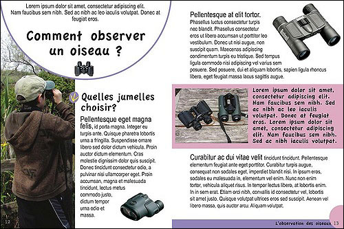 Petit guide ornitho pour les enfants
