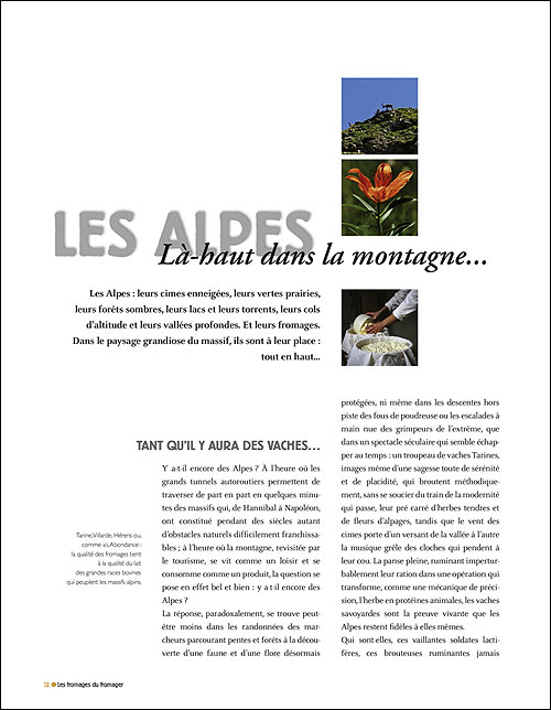 Les fromages du fromager