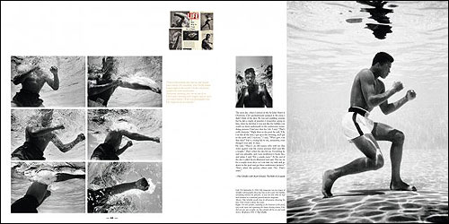 Greatest Of All Time : Hommage à Muhammad Ali