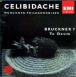 Anton Bruckner&nbsp;-&nbsp;Bruckner / vol.7
