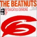 The Beatnuts&nbsp;-&nbsp;Intoxicated demons