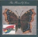 The House of Love&nbsp;-&nbsp;The House Of Love