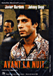 Avant la nuit