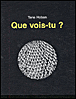 Que vois tu ?
