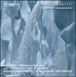 Karen Rehnqvist&nbsp;-&nbsp;Arktis arktis! - On a distant shore