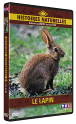 Histoires naturelles&nbsp;-&nbsp;Le Lapin