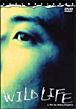 Wild life&nbsp;-&nbsp;Shinji Aoyama