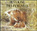 Pestoune des pyrenees