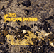 U Ziq&nbsp;-&nbsp;Bilious paths