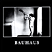 Bauhaus&nbsp;-&nbsp;In the flat field