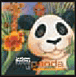 Papaye le panda&nbsp;-&nbsp;Lucie Papineau, M. Sarrazin
