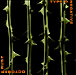 Type O Negative&nbsp;-&nbsp;October rust