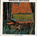 The Neville Brothers&nbsp;-&nbsp;Fire On The Bayou