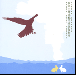 Sufjan Stevens&nbsp;-&nbsp;Enjoy your rabbit