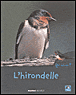 L'hirondelle&nbsp;-&nbsp;Philippe Jacques Dubois