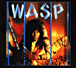 Wasp&nbsp;-&nbsp;Electric circus