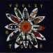 Laurent Voulzy