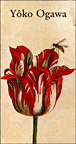 Yôko Ogawa&nbsp;-&nbsp;Yoko Ogawa