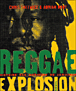 Reggae explosion&nbsp;-&nbsp;Chris Salewicz, Adrian Boot