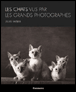 Les chats vus par les grands photographes&nbsp;-&nbsp;Jules Farber