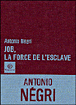 Job&nbsp;-&nbsp;Antonio Negri