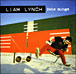 Liam Lynch&nbsp;-&nbsp;Fake songs