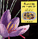 Saveurs du safran&nbsp;-&nbsp;C. Boisvert, P. Aucante