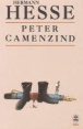 Peter camenzind&nbsp;-&nbsp;Hermann Hesse