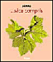 Vice compris&nbsp;-&nbsp;Serre