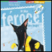 Le plus féroce des loups&nbsp;-&nbsp;Sylvie Poillevé