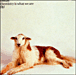 Simian&nbsp;-&nbsp;Chemistry is what we are