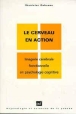 Le cerveau en action&nbsp;-&nbsp;Stanislas Dehaene