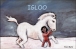 Igloo&nbsp;-&nbsp;Alan Mets