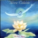 Michel Pépé&nbsp;-&nbsp;Terre céleste
