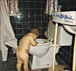 Sebadoh&nbsp;-&nbsp;Bake sale