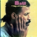 Bau