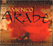 Hossam Ramzy&nbsp;-&nbsp;Flamenco arabe