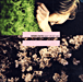Gemma Hayes&nbsp;-&nbsp;Night on my side