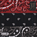Dead Prez&nbsp;-&nbsp;RBG revolutionary but gangsta